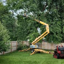 Best Seasonal Cleanup (Spring/Fall)  in Carle Place, NY